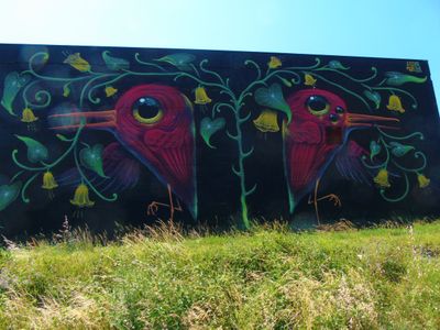 Un couple d'oiseau