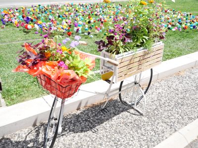 Le vélo fleuri