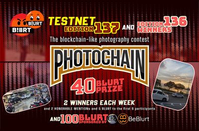 PHOTOCHAIN Challenge TESTNET | Edition number 137 [BLURT Prize Photography Contest]