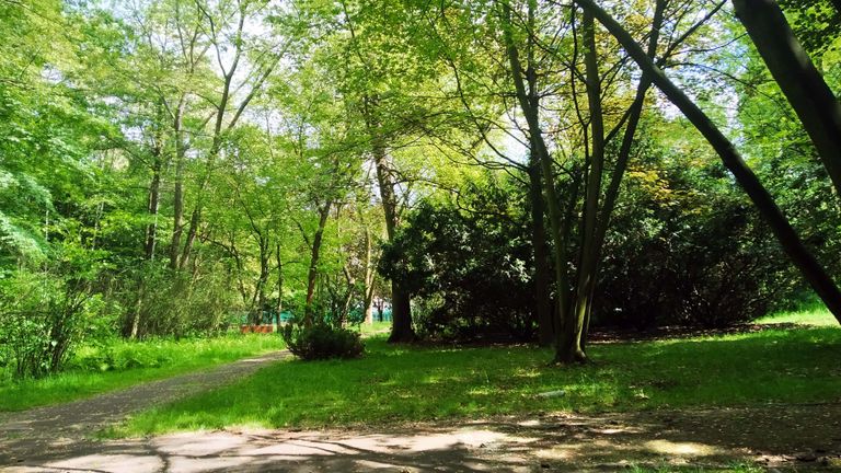 a01.jpg