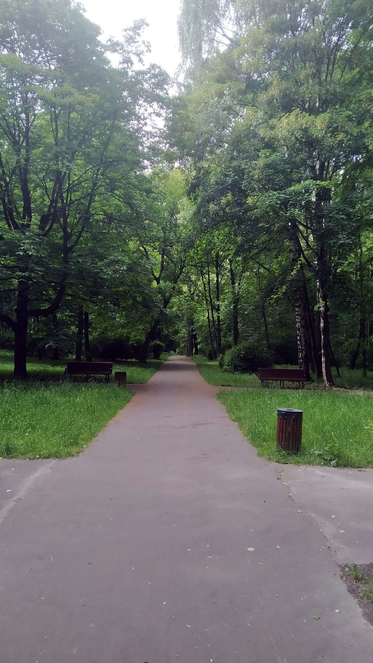 a02.jpg