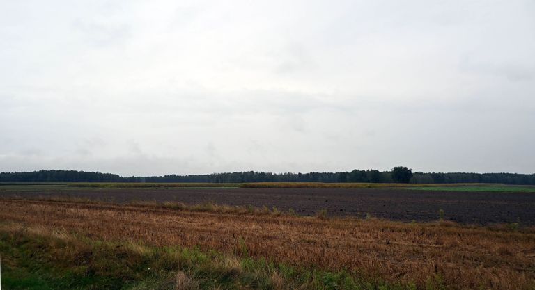 a07.jpg