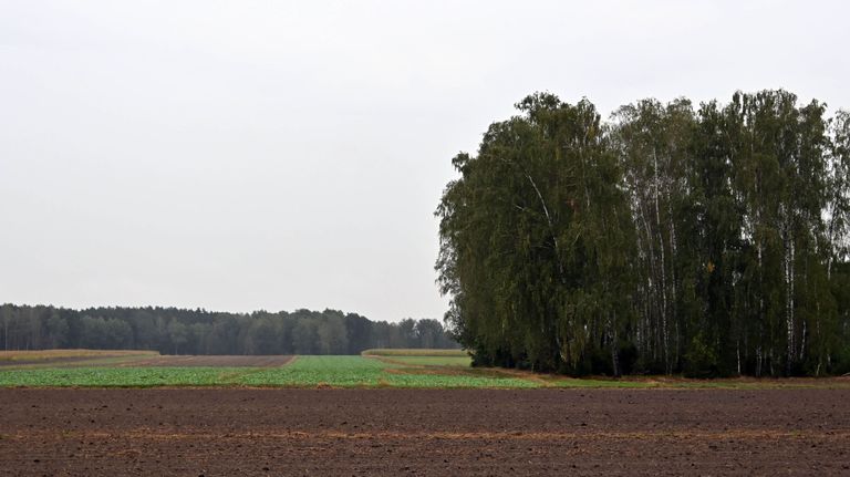 a05.jpg