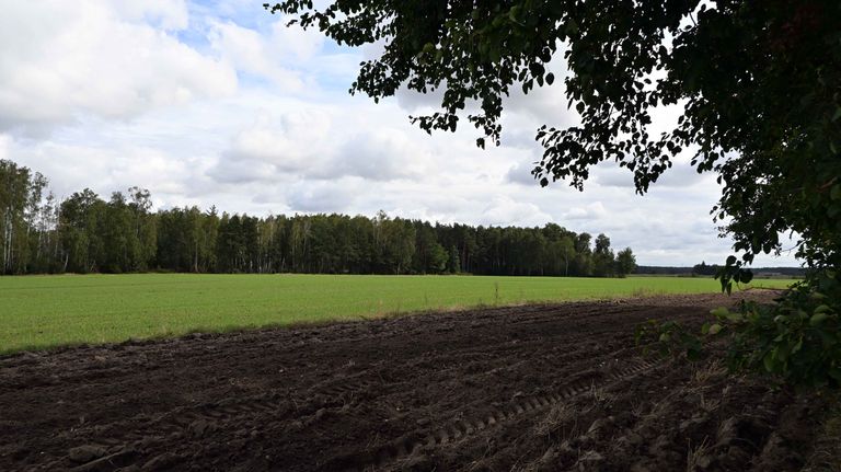 a06.jpg
