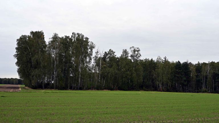 a03.jpg