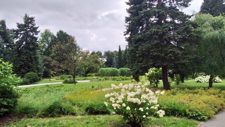 a02.jpg