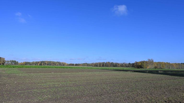 a05.jpg