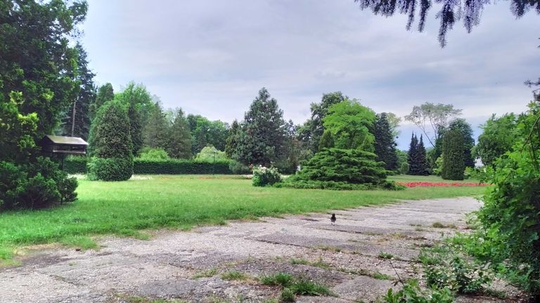 a03.jpg