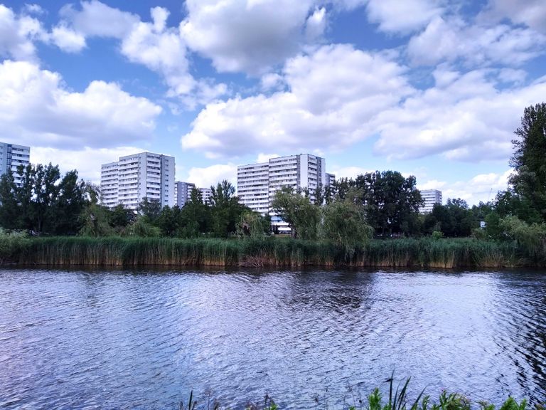 a010.jpg