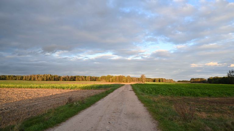 a04.jpg