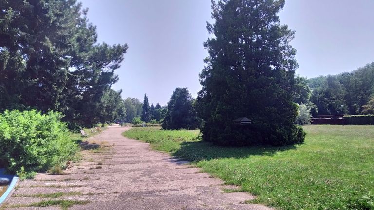 a04.jpg