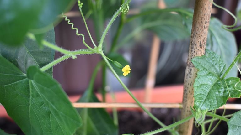 pho_3890.jpg