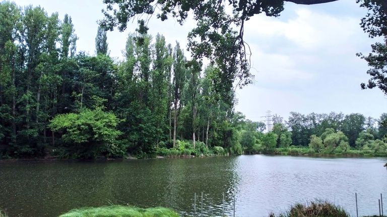 a01.jpg
