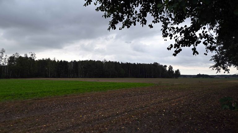 a05.jpg