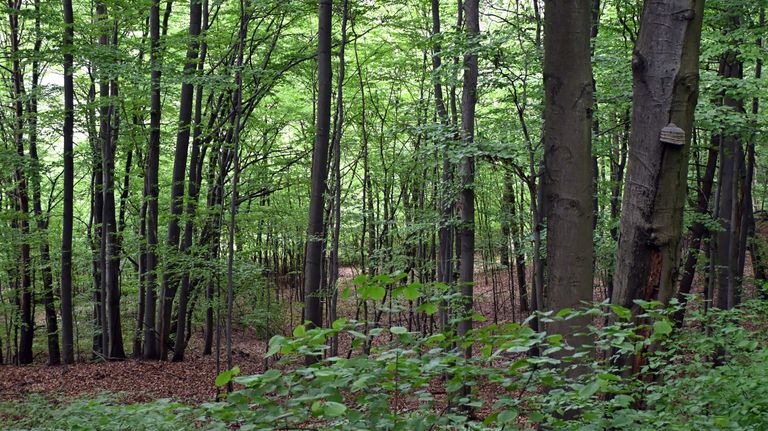 a03.jpg
