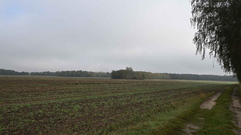 ac06.jpg