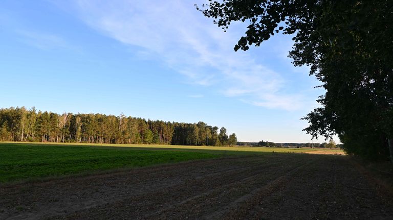 a05.jpg