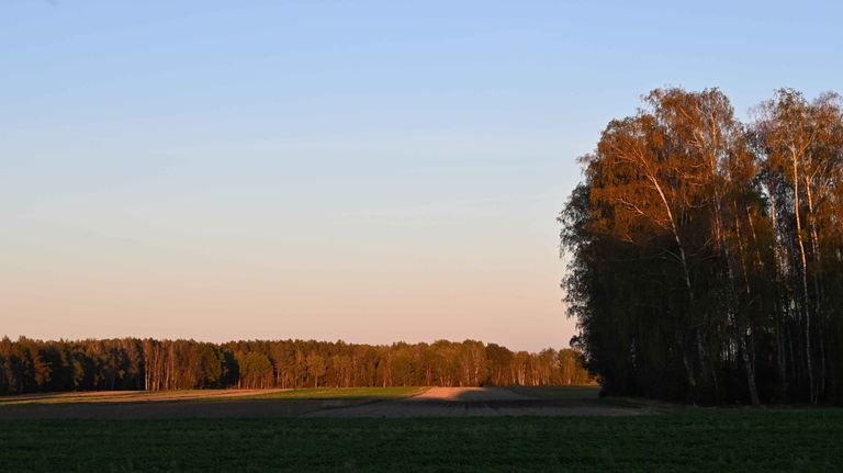 a01.jpg