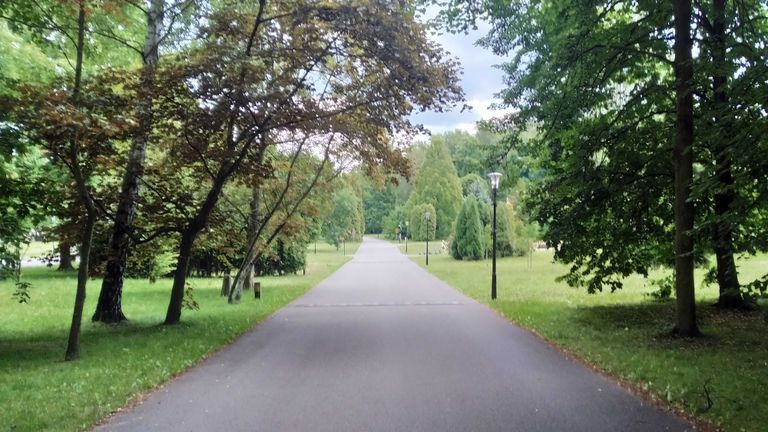 a04.jpg