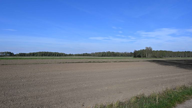 a05.jpg