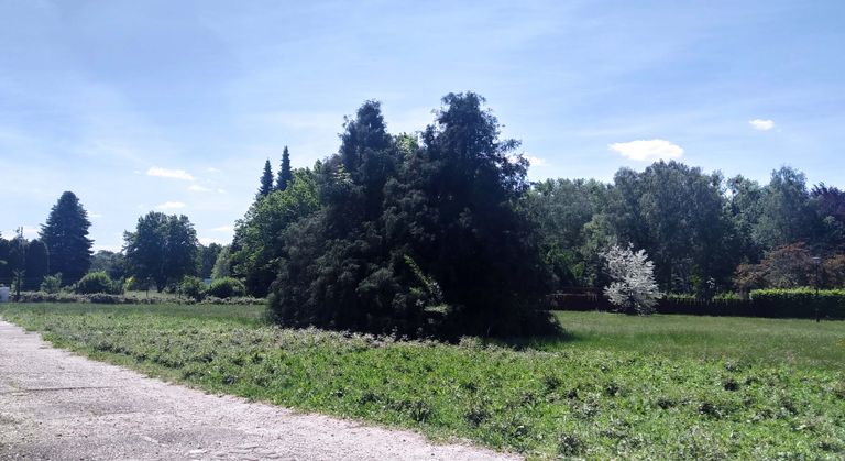 a02.jpg