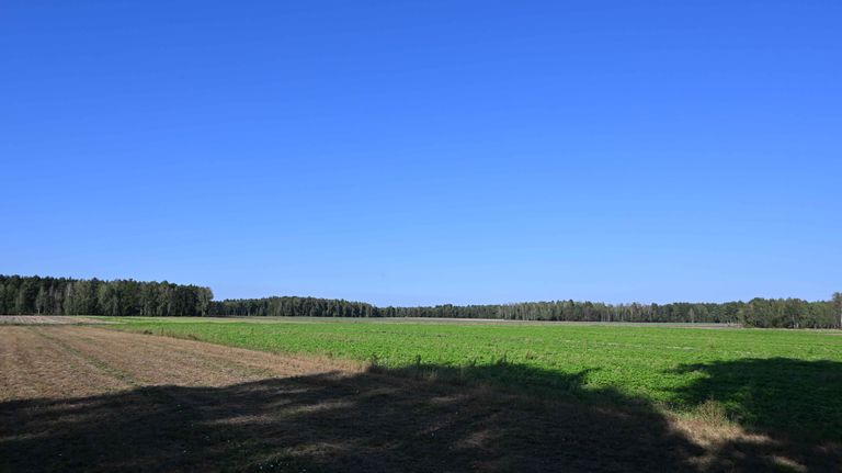 a14.jpg