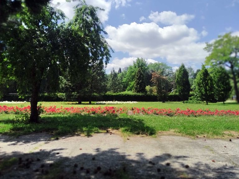 a03.jpg