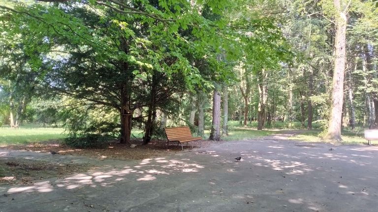 a03.jpg