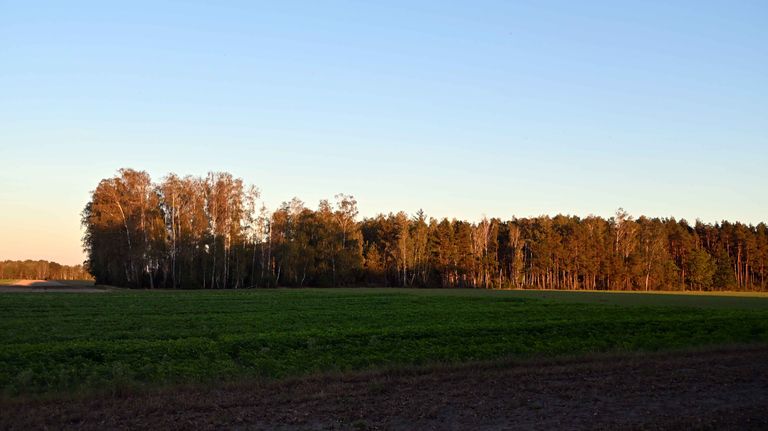 a06.jpg