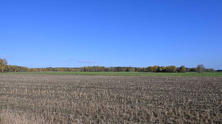 a04.jpg