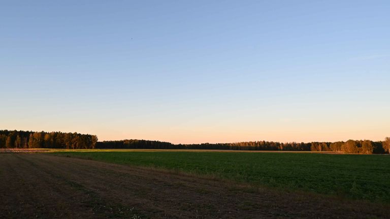 a04.jpg