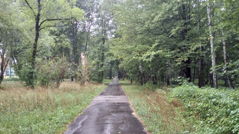 a07.jpg