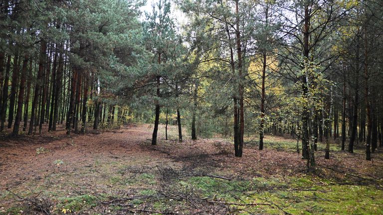 a06.jpg