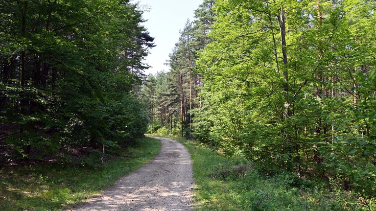 a04.jpg