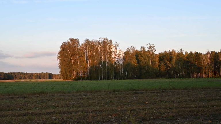 a07.jpg