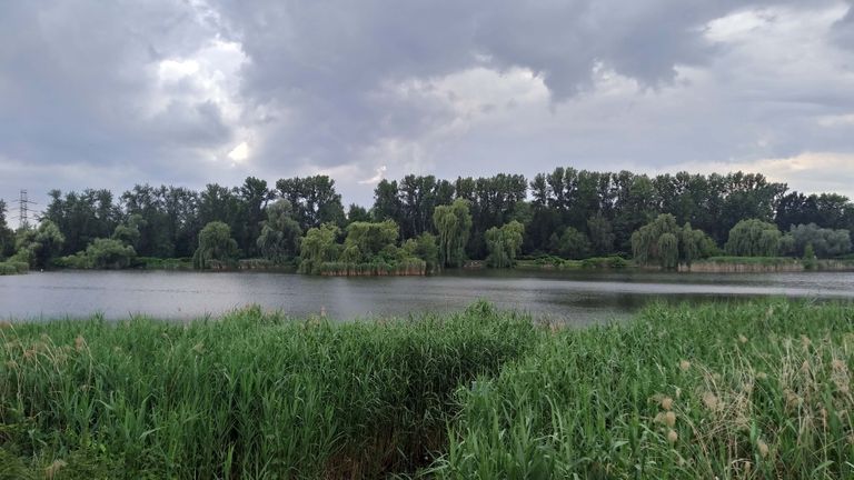 a01.jpg