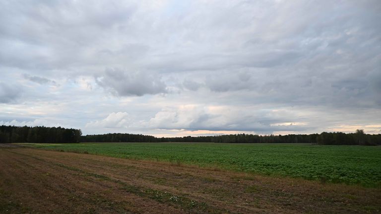 a02.jpg
