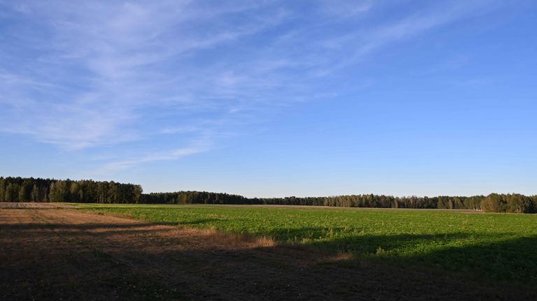 a06.jpg