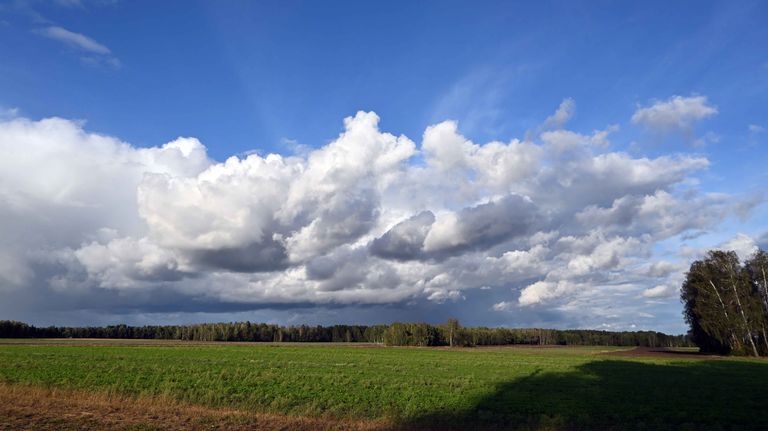 a06.jpg