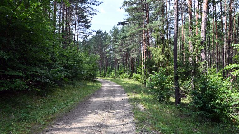 a04.jpg