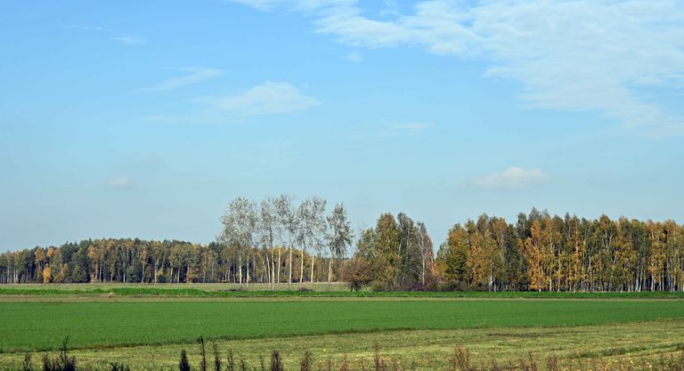 a01.jpg