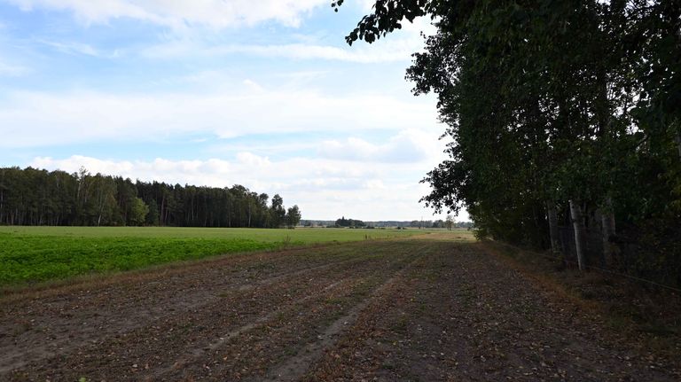 a03.jpg