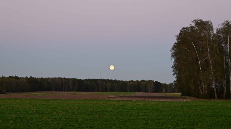 a09.jpg