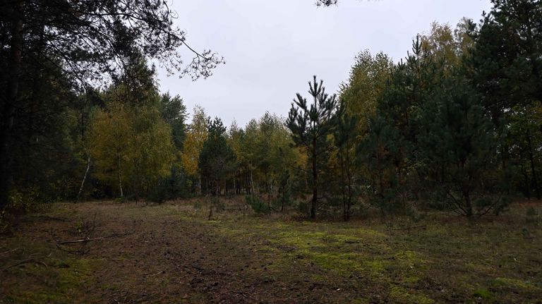 a01.jpg