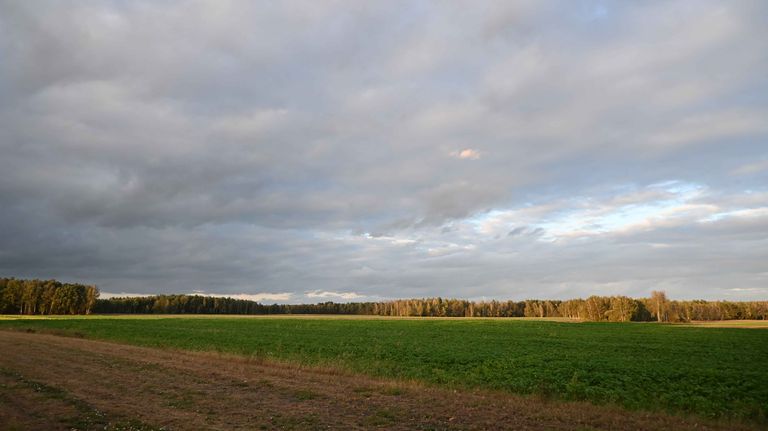 a05.jpg