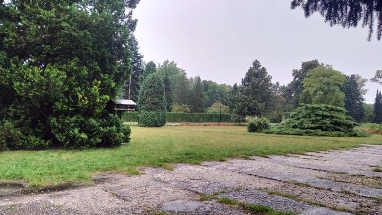 a05.jpg