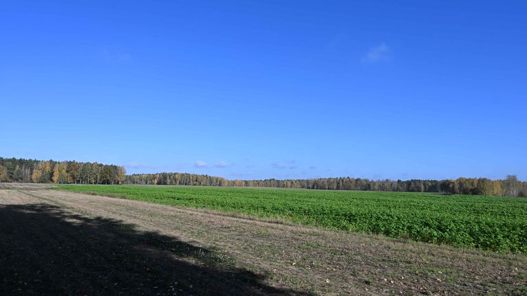 a06.jpg
