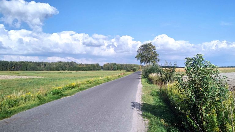 a01.jpg