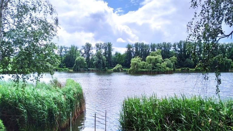 a01.jpg