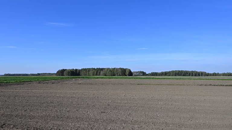 a04.jpg